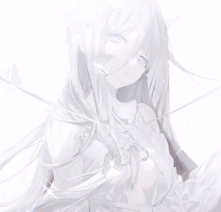 takken